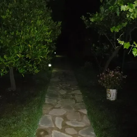 Guest house Cesur Pansiyon 2*