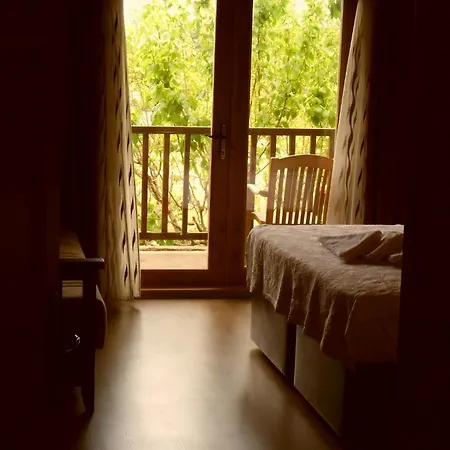 Guest house Cesur Pansiyon 2*