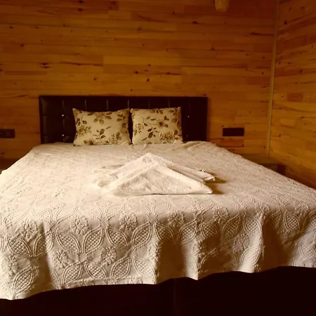 Guest house Cesur Pansiyon 2*